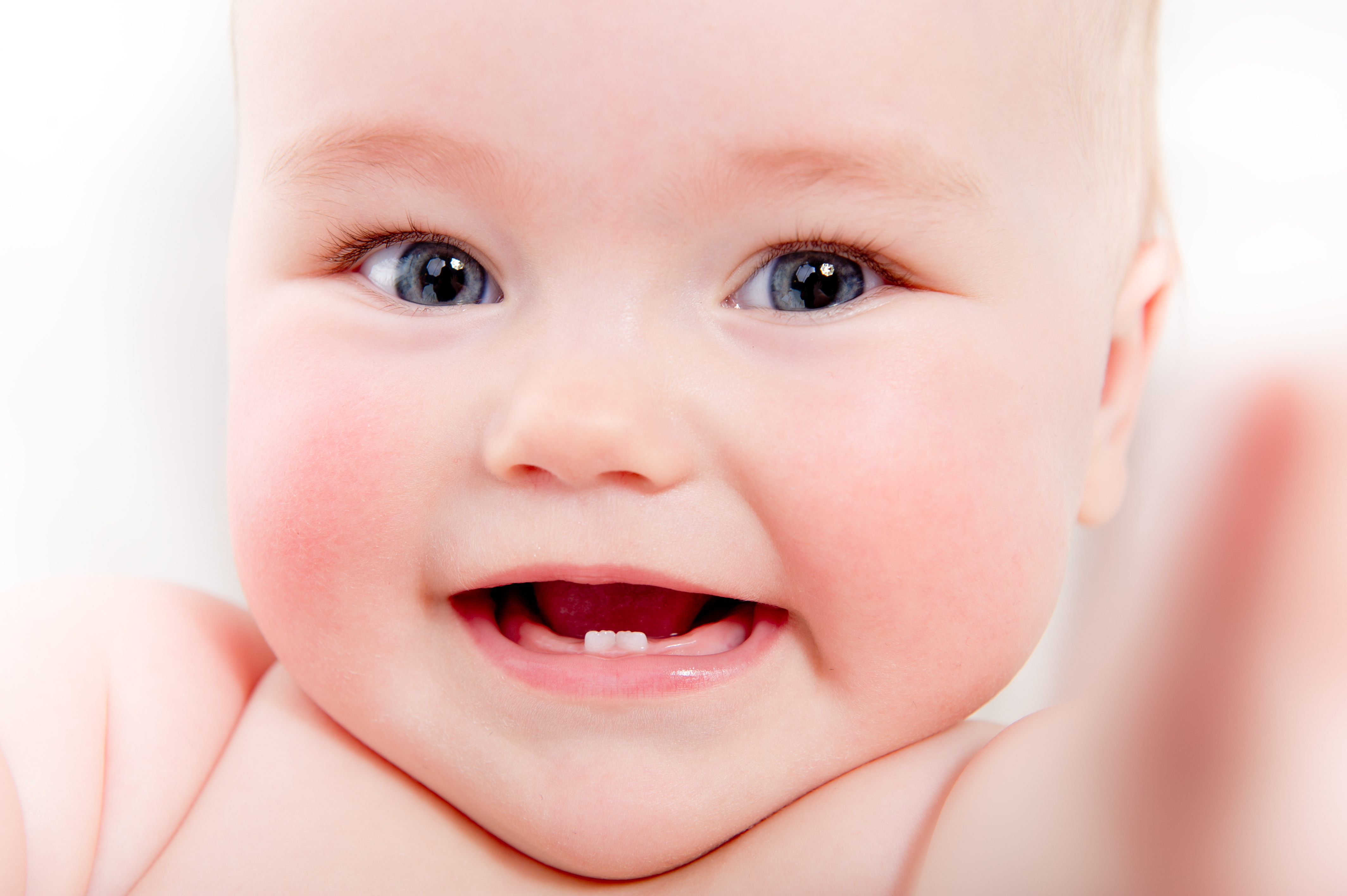 Comment soigner les dents de lait de bébé Neufmois fr